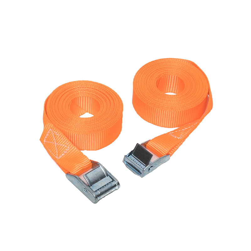 25mm 250 kg Nockenschnalle Biegebänder