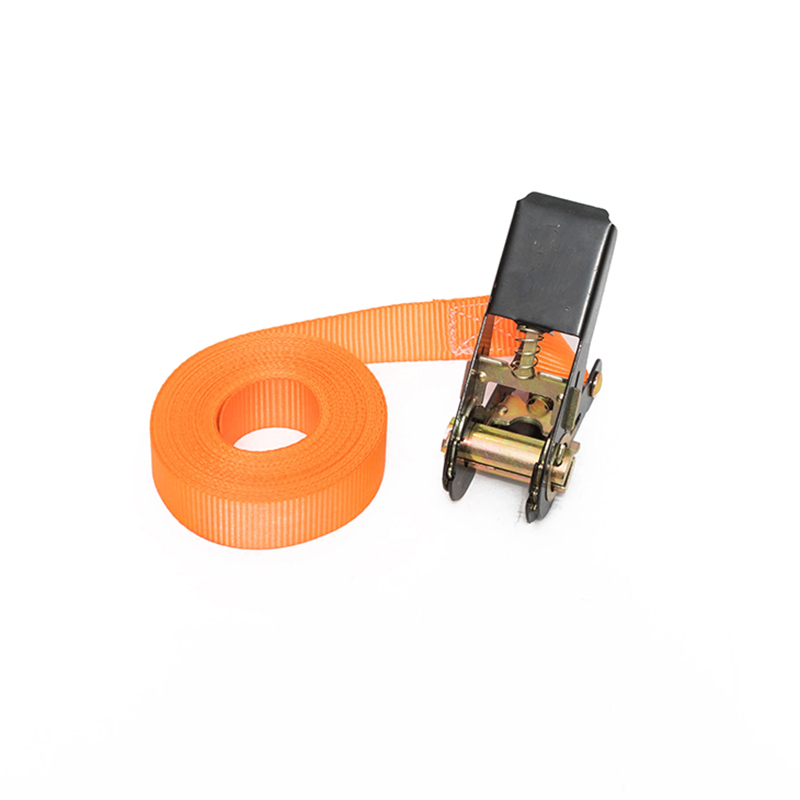 1 Zoll 25 mm*500 kg/800 kg endloser Loop -Ratschengurt